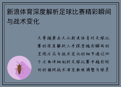 新浪体育深度解析足球比赛精彩瞬间与战术变化