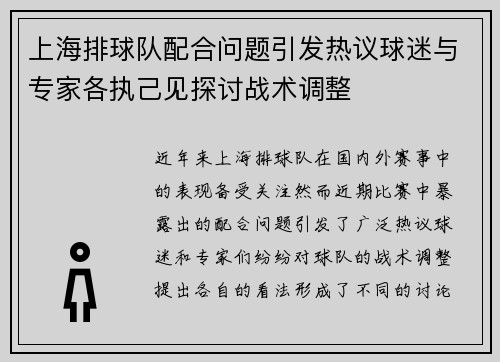 上海排球队配合问题引发热议球迷与专家各执己见探讨战术调整